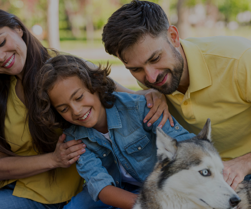 capa blog 1 no Maximídia